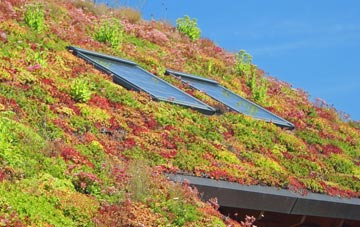 Abbots Langley living roof systems
