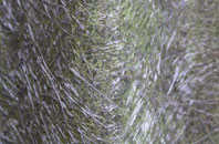 Abbots Langley fibreglass roof work